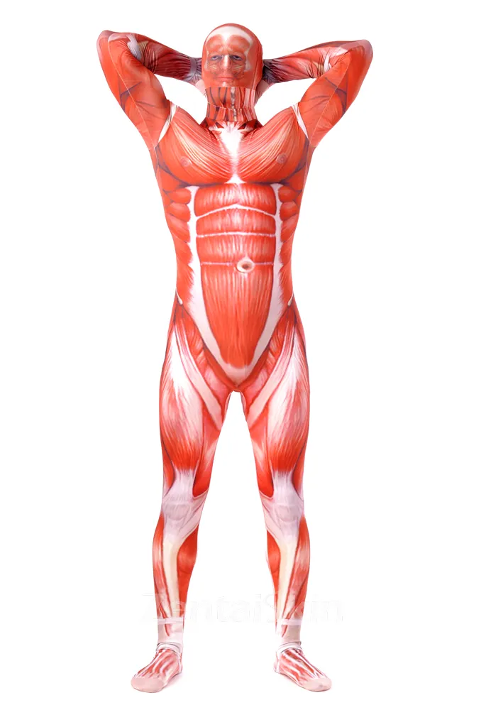 Second Skin Clothing Attack on Titan Elastic Lycra Spandex Skinsuit Full Body Muscle Fitness Zentai Catsuits