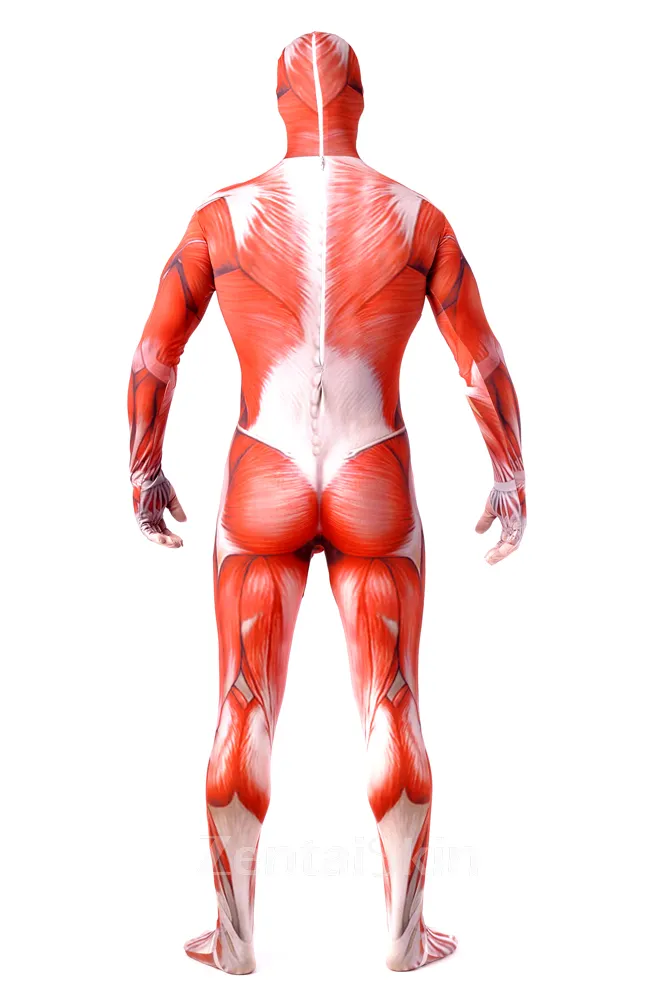 Second Skin Clothing Attack on Titan Elastic Lycra Spandex Skinsuit Full Body Muscle Fitness Zentai Catsuits