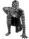 White Stripe Black Lycra Spandex Skinsuit Spiderman Zentai Catsuit Second Skin Clothing - Spider Man 3 Costume