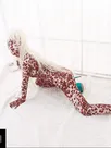 Zentai Brown Classic Leopard Spots Dupont Catsuit Unitard Second Skin Clothing Tights