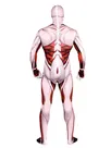 Attack on Titan Cartoon Full Body Second Skin Costume Halloween Unisex Cosplay Zentai Skinsuit Suit
