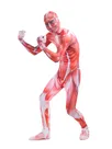 Attack on Titan Red Muscle Full Body Second Skin Costume Halloween Spandex Skinsuit Holiday Unisex Cosplay Zentai Suit