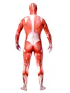 Second Skin Clothing Attack on Titan Elastic Lycra Spandex Skinsuit Full Body Muscle Fitness Zentai Catsuits