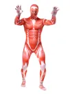 Second Skin Clothing Attack on Titan Elastic Lycra Spandex Skinsuit Full Body Muscle Fitness Zentai Catsuits