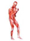 Second Skin Clothing Attack on Titan Elastic Lycra Spandex Skinsuit Full Body Muscle Fitness Zentai Catsuits