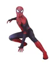 3D Printing Remy Expedition Fusion Spiderman Cosplay Zentai Catsuit Skinsuit Second-skin Clothing