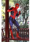 3D Printed PS5 New Version of Muscle Spiderman Halloween Zentai Catsuit Skinsuit Second-skin Clothing 3D Printed PS5 New Version of Muscle Spiderman Halloween Zentai Catsuit Skinsuit Second-skin Clothing