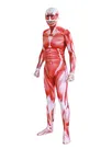 Anime Lycra Attack on Giant 3D Printed Cosplay Second Skin Full Body Spandex Zentai Catsuit Skinsuit