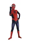 Heroes Expedition Remy Heroes Spiderman Spandex Cosplay Zentai Catsuit Skinsuit Second-skin Clothing