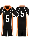 Zentai Second Skin Uno High School Volleyball Division Volleyball Junior Short Sleeves Tops Shorts Set Cartoon Anime Cos Ball Costume