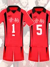 Zentai Second Skin Uno High School Volleyball Division Volleyball Junior Short Sleeves Tops Shorts Set Cartoon Anime Cos Ball Costume