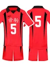 Zentai Second Skin Uno High School Volleyball Division Volleyball Junior Short Sleeves Tops Shorts Set Cartoon Anime Cos Ball Costume