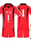 Zentai Second Skin Uno High School Volleyball Division Volleyball Junior Short Sleeves Tops Shorts Set Cartoon Anime Cos Ball Costume