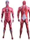 Second Skin Attack on Titan Cosplay Zentai Costume
